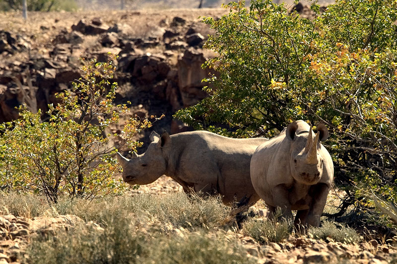 agence de voyage pour namibie specialiste sur mesure voyage en afrique en famille couple ente amis