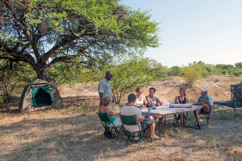 safari aventure decouverte dangereux avec les lions camping dans la savane au milieu de nul part