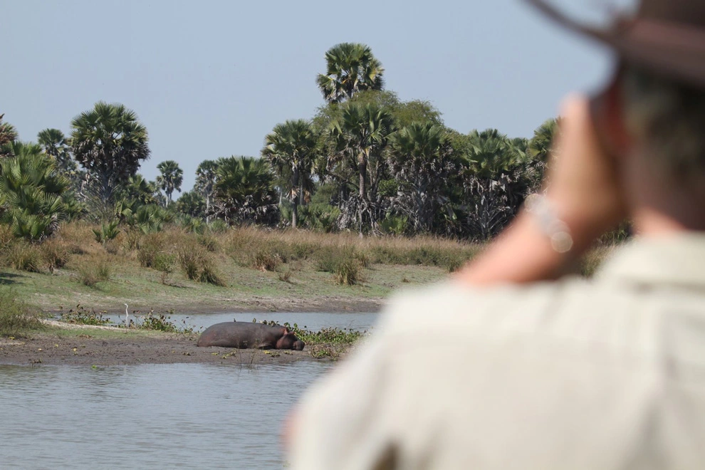 Observateur en premier plan, appareil photo levé, regardant un hippopotame allongé sur une berge sableuse au bord d’un point d’eau en Tanzanie.