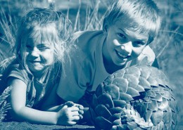 Safaris en famille en Afrique du Sud