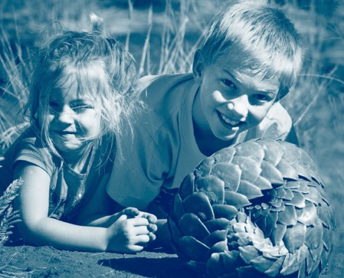 Safaris en famille en Afrique du Sud