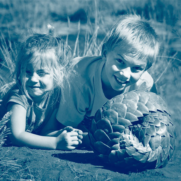 Safaris en famille en Afrique du Sud