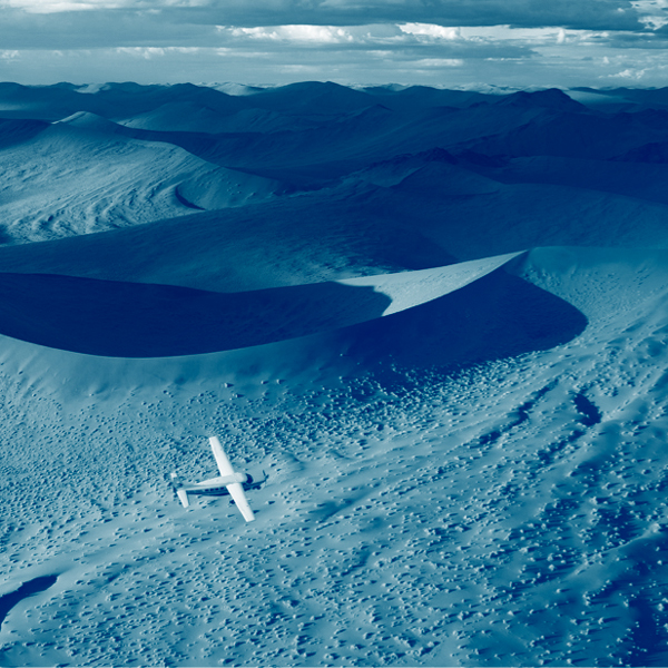 skeleton coast safaris