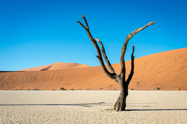 visiter Namibie dunes de Sossuvlei saison activité animaux