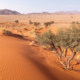 Namibie désert du namib visite activités