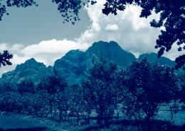 Voyage en Afrique du Sud - LE CAP avec Mungo Park