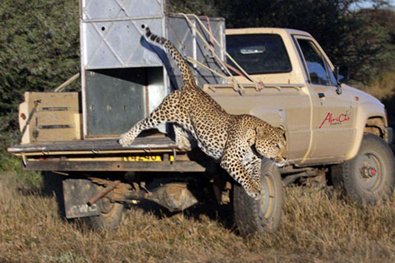 agence voyage namibie safari namibie sur mesure voyage hors des sentiers battus